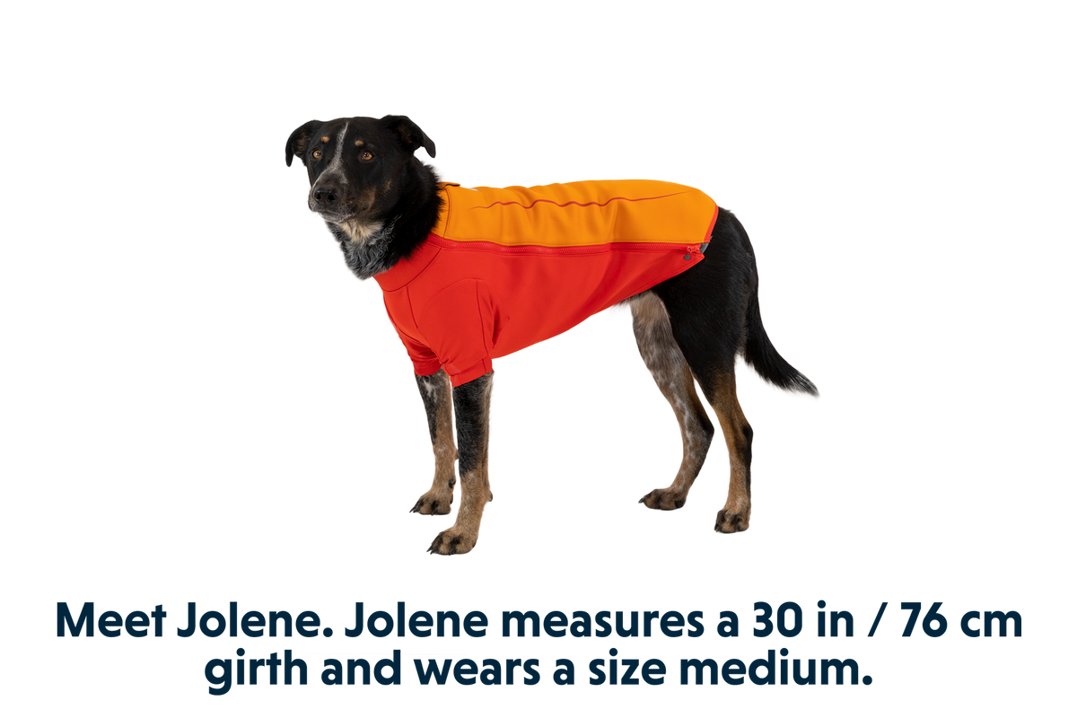 Undercoat™ Dog Water Jacket