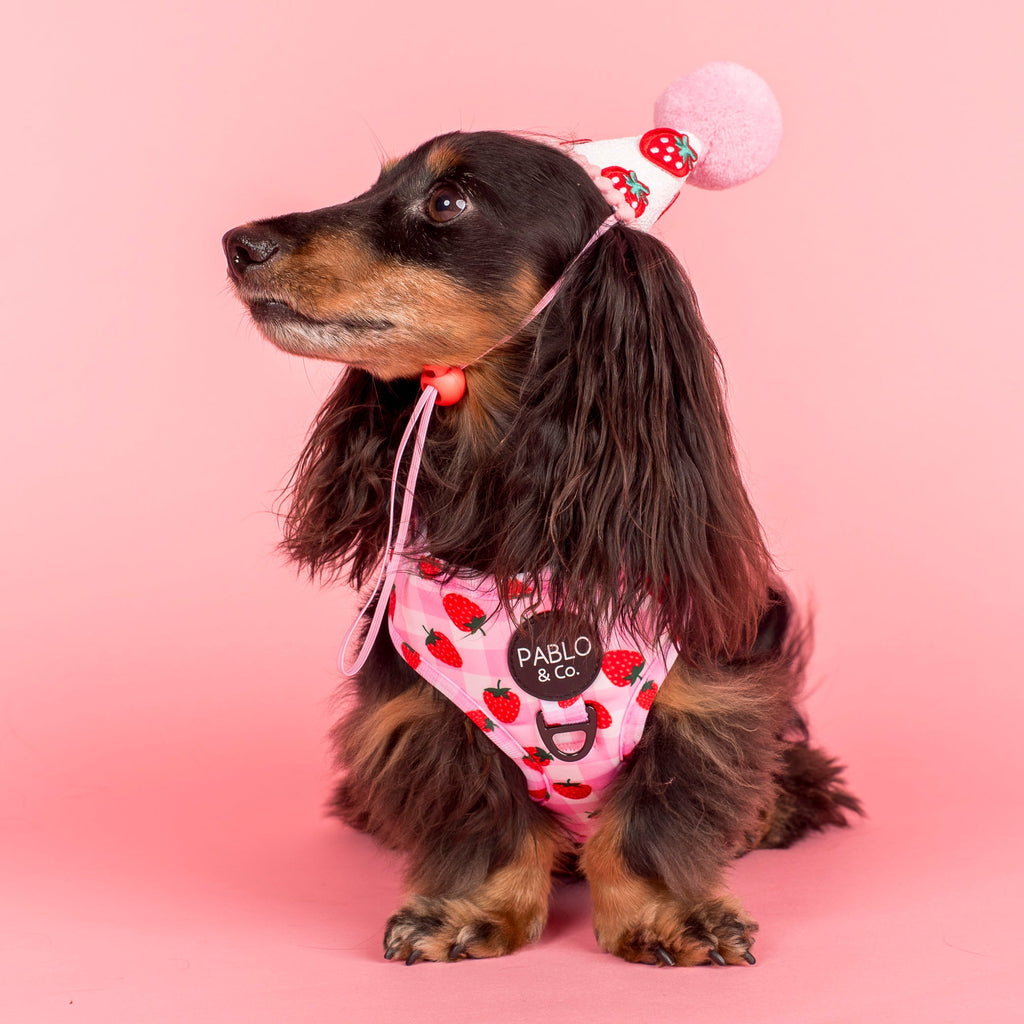 Strawberry Fields: Adjustable Harness