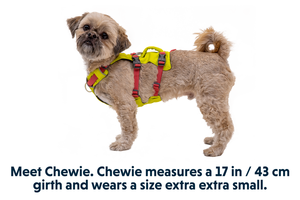 Flagline™ Dog Harness with Handle