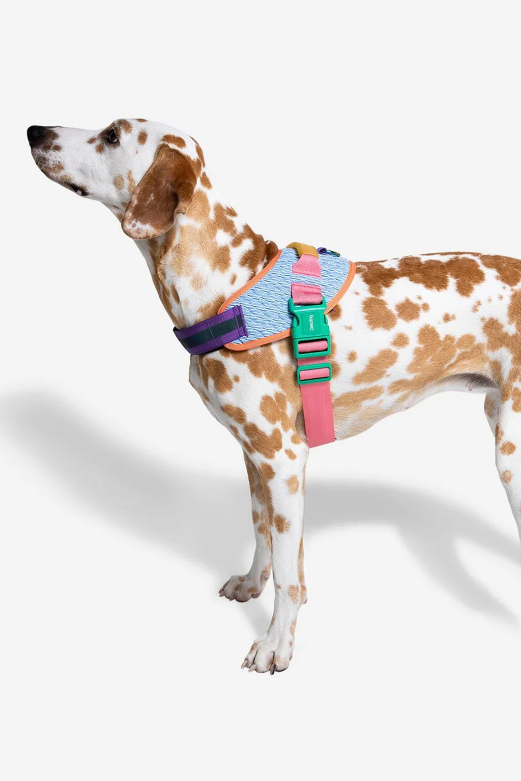 Zee.Dog Galaxy Dog Fly Harness